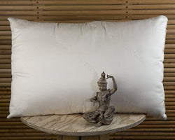 Wellspring Pillow